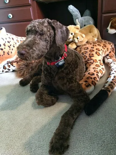 Tail's in the City Pet Mobile Greater Nashville & Middle TN — photo from their website