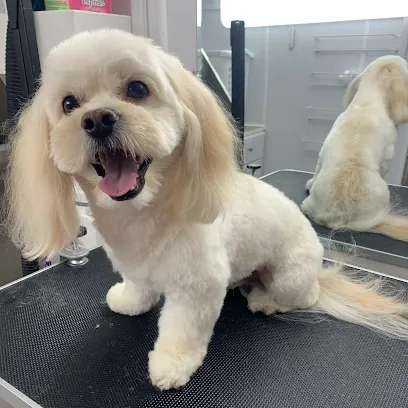 Woofers mobile dog grooming — photo from their website