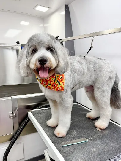 My Paw Mobile Grooming — photo from their website