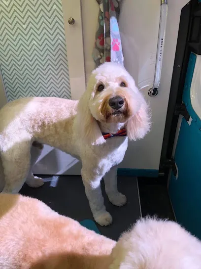 A Dog's World Mobile Grooming — photo from their website