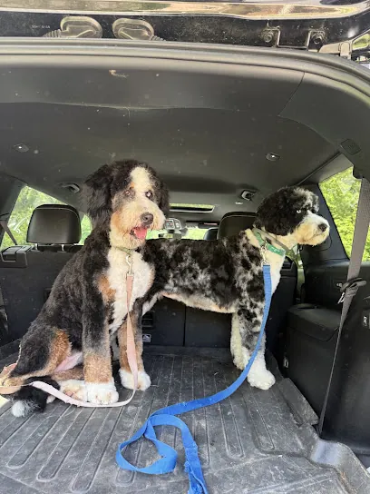 Sun-Sett Grooming ( mobile grooming) — photo from their website