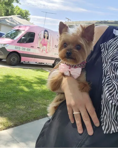 Nicole Dunn Mobile Grooming — photo from their website