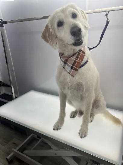 Yee Paw Mobile Groomin’ — photo from their website