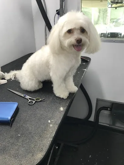 Michael L Rogers mobile pet services — photo from their website