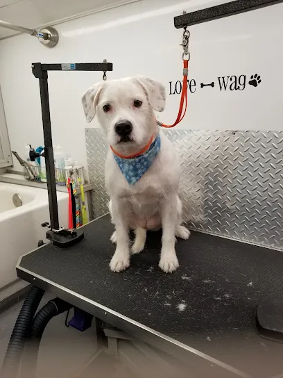 Wags on Wheels Mobile Dog Grooming — photo from their website