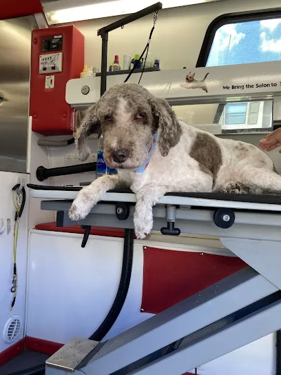 VIP Mobile Grooming Lakewood Ranch — photo from their website