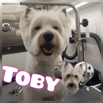 Wet Wags Mobile Spa — photo from their website