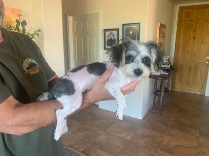 Le Dogue Mobile Grooming — photo from their website