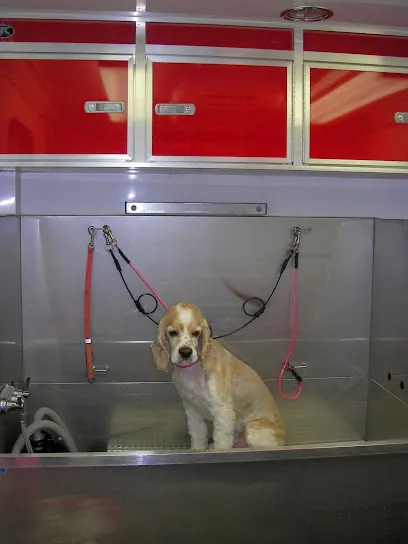 Doggie Works Mobile Grooming — photo from their website