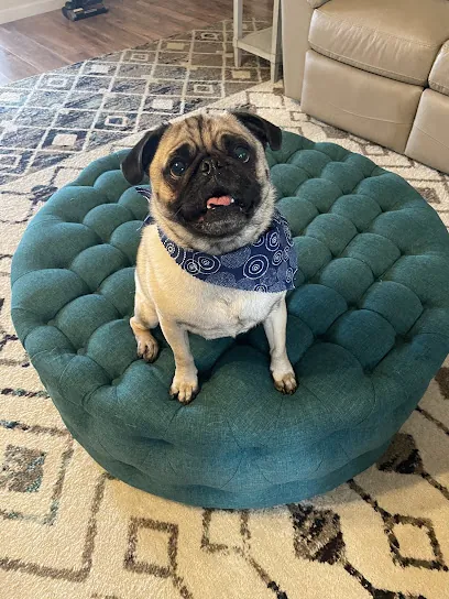 Howl at the Moon Mobile Dog Grooming — photo from their website