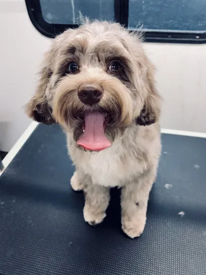 Bark N Brush Mobile Grooming — photo from their website