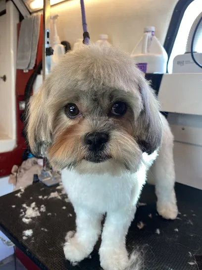 California Groomin' Mobile Salon — photo from their website