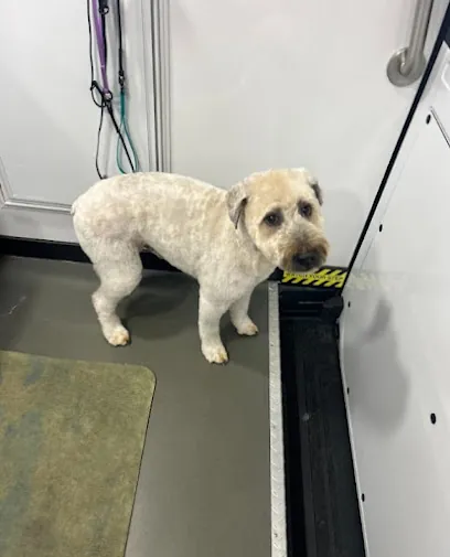 ComFurrt Paws Mobile Pet Parlor — photo from their website