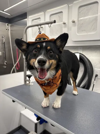 Red, White & Groomed Mobile Dog Grooming — photo from their website