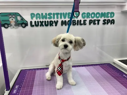 Pawsitively Groomed Luxury Mobile Pet Spa — photo from their website