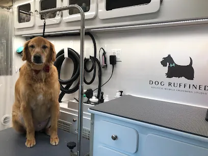 Dog Ruffined Mobile Grooming — photo from their website