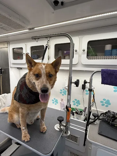 Wash My Paws Mobile Dog Groomer — photo from their website