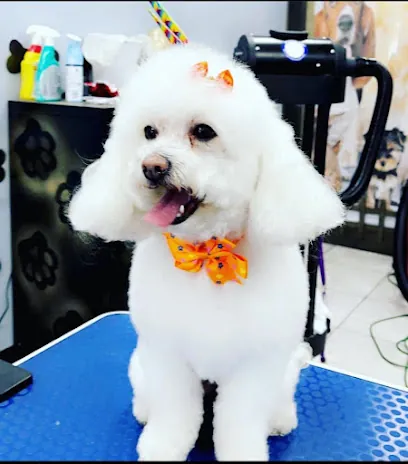 All paws in mobile pet salon — photo from their website