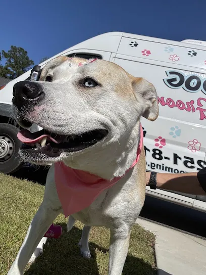 PetDog Mobile Grooming — photo from their website
