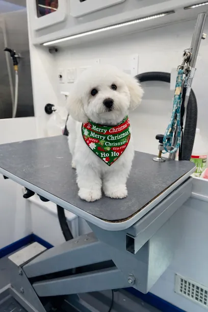 R&B Mobile Pet Grooming — photo from their website