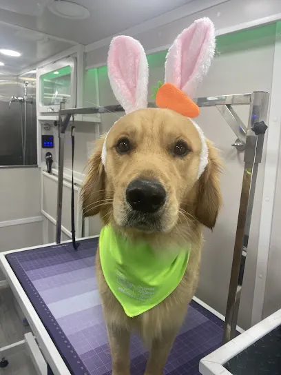 Animal Wellness World Mobile pet grooming — photo from their website