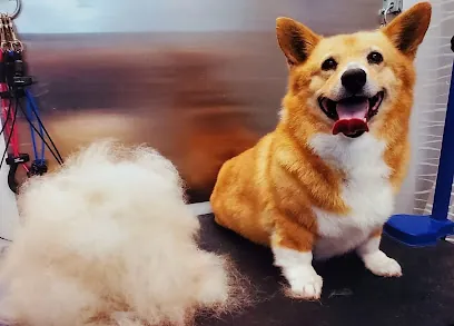 WiggleButts Mobile Dog Grooming Salon — photo from their website