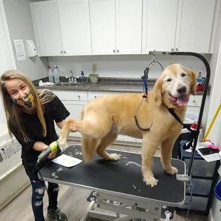 Barking Bubbles MOBILE Pet Salon — photo from their website