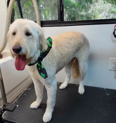 O My Dog Mobile Grooming — photo from their website