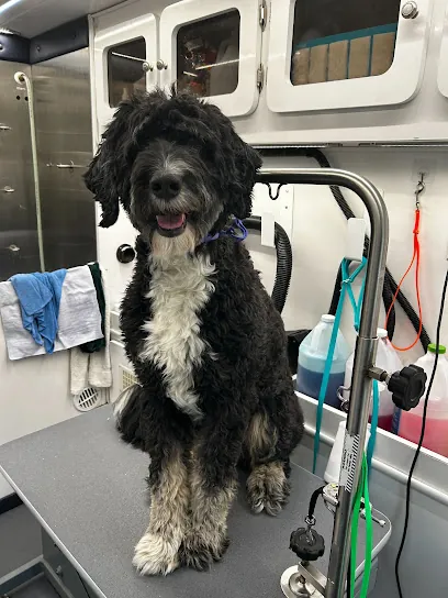 Groombuggy Mobile Dog Grooming — photo from their website