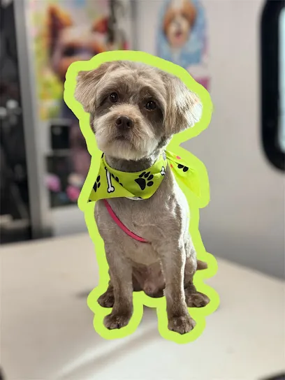 Paws on shine Mobile Grooming — photo from their website