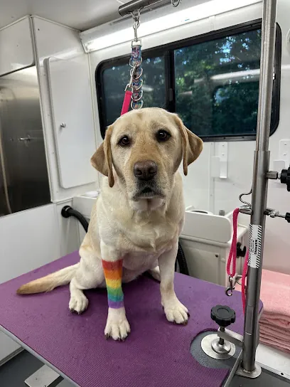 Juno's Mobile Grooming — photo from their website