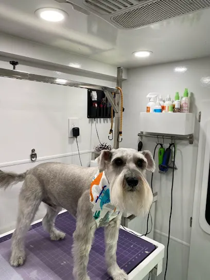 P&P Mobile Pet Groomers — photo from their website
