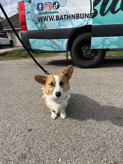 Bath N' Buns Mobile Pet Grooming - IE — photo from their website