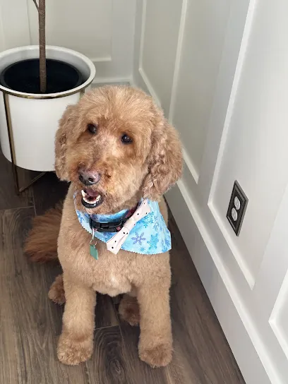 Happy Paws Mobile Spa — photo from their website