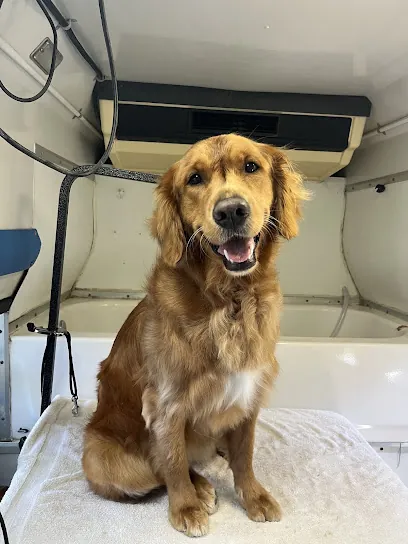 Doggie Style Mobile Grooming — photo from their website