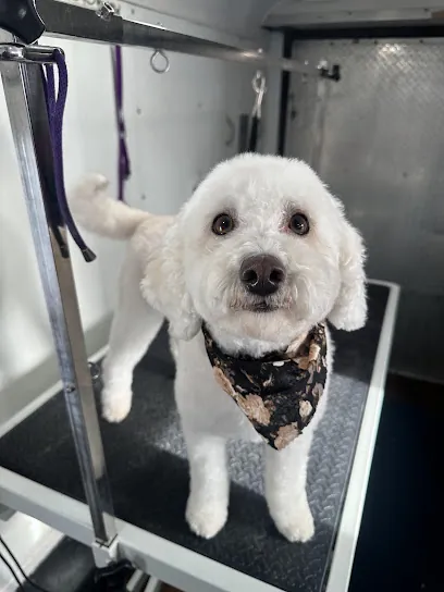 Little Paw Mobile Grooming — photo from their website