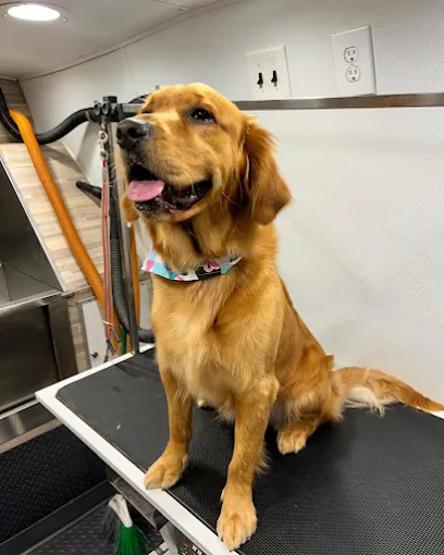 Care Mobile Grooming — photo from their website