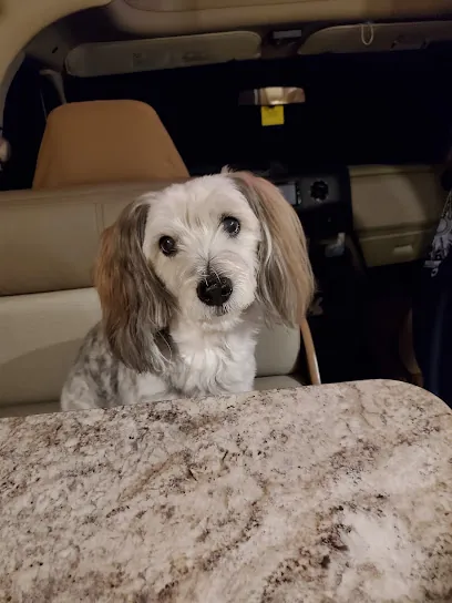 Scissor Wizard Mobile Dog Grooming — photo from their website