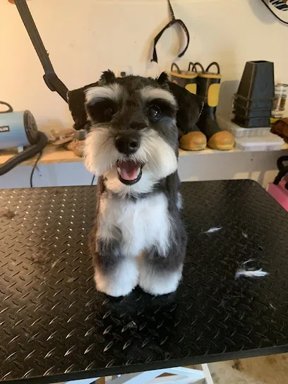 French Cuts Mobile Grooming, LLC — photo from their website