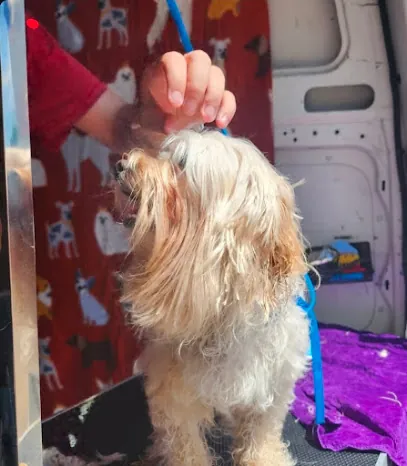 Purr_Fect Paw mobile pet grooming — photo from their website