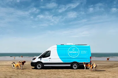 Pupwash911 Mobile Grooming — photo from their website