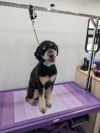 Marcoo & Co. Mobile Grooming — photo from their website