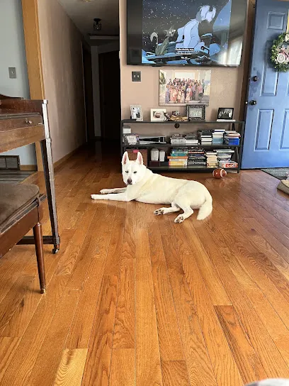 Chris' Mobile Grooming — photo from their website