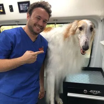 Aussie mobile pet grooming — photo from their website