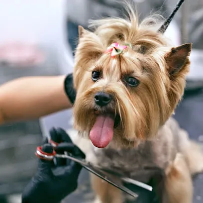 Beauty Pets Mobile — photo from their website