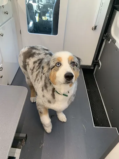 Uptown Pup Mobile Grooming — photo from their website