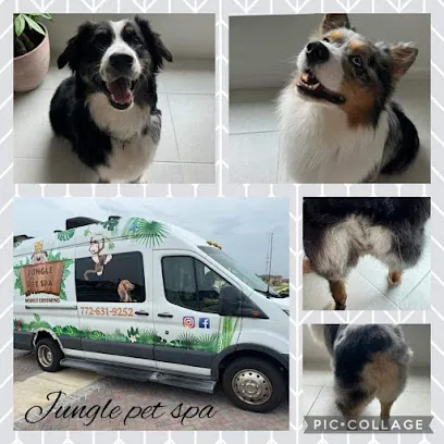 Jungle Pet Spa FL Mobile Grooming — photo from their website