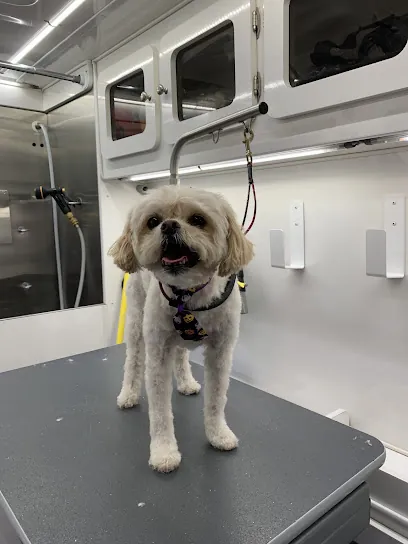 Clean Earthling Mobile Grooming — photo from their website