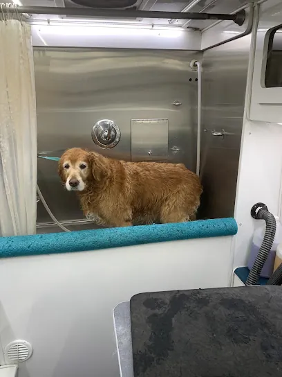 Pawsitively Purrfect Mobile Pet Grooming — photo from their website