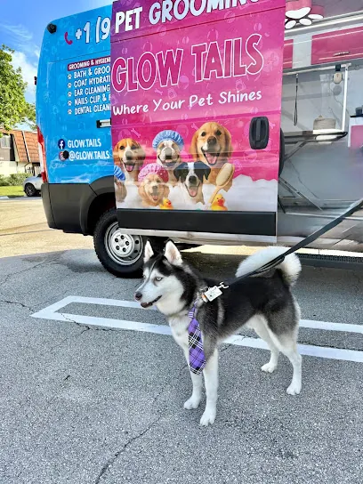 Glow Tails Pet mobile Grooming — photo from their website